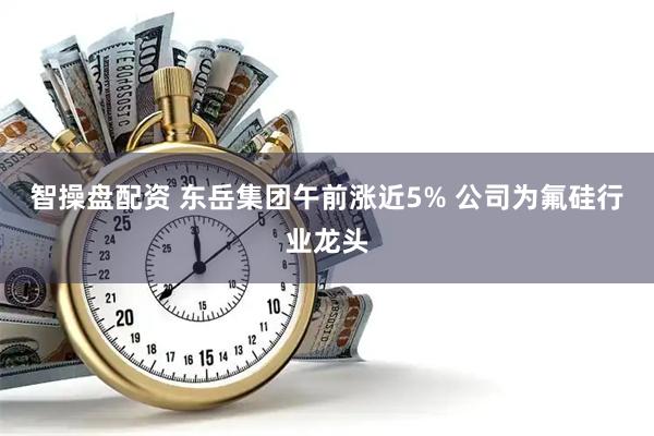 智操盘配资 东岳集团午前涨近5% 公司为氟硅行业龙头